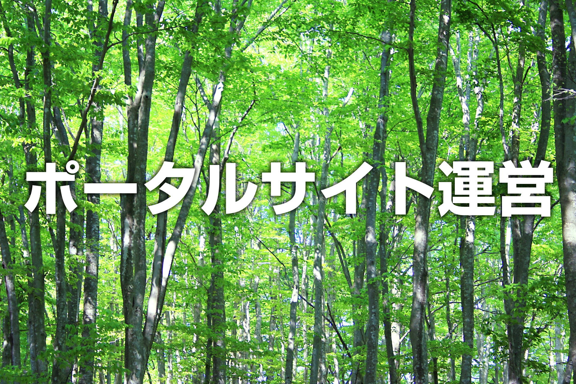 ポータルサイト制作