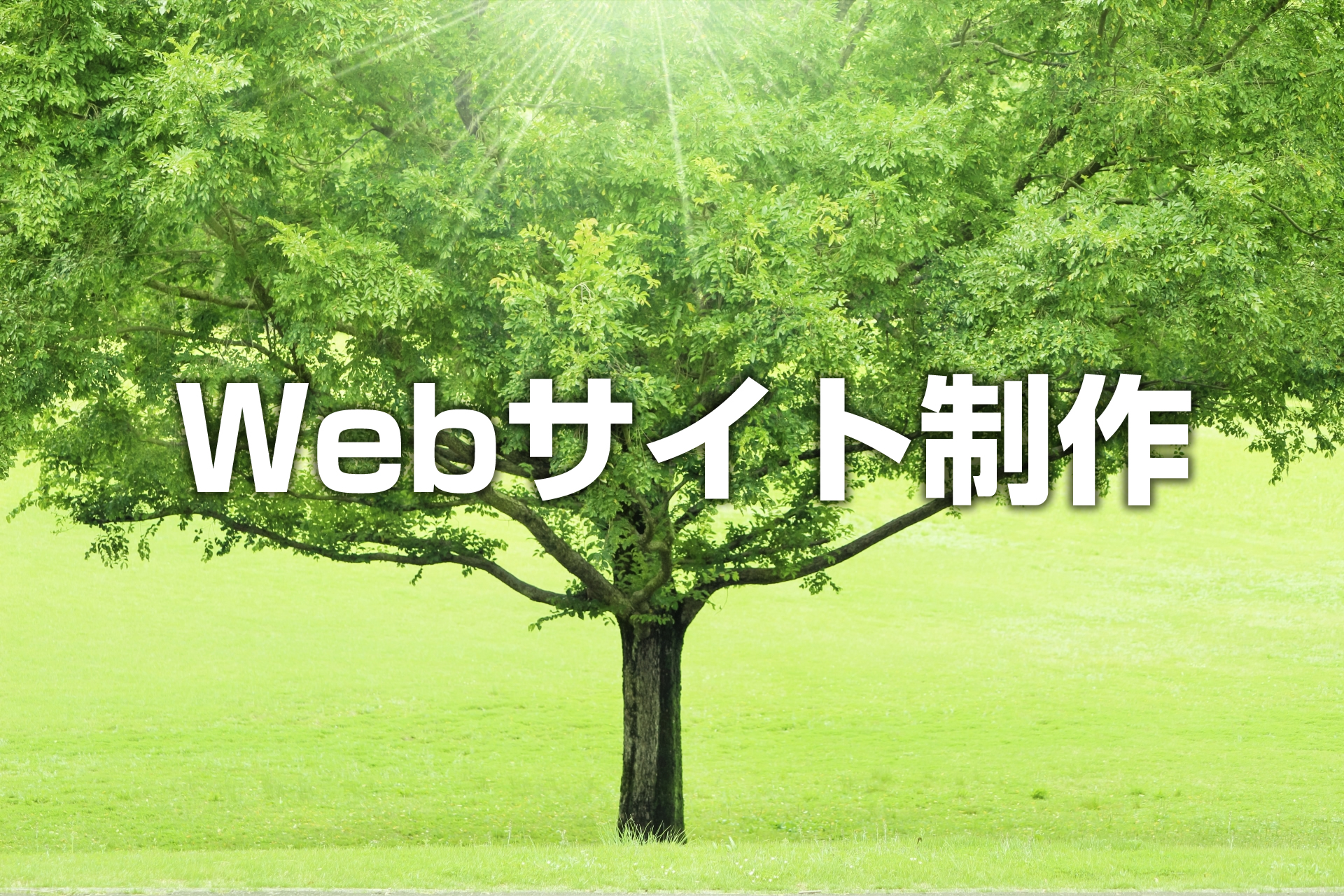 Webサイト制作